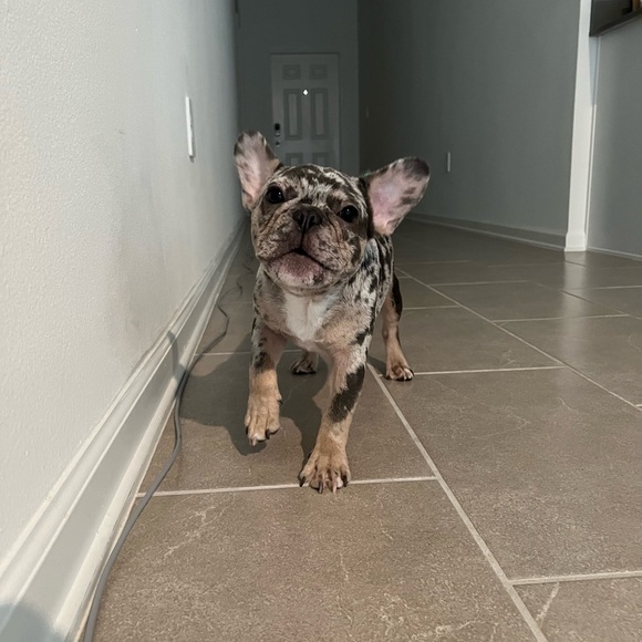 Hello, I’m Dawn - Picture 4 of 6